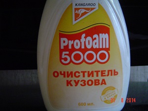 DSC00196 - копия.JPG