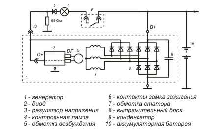 гена1.JPG