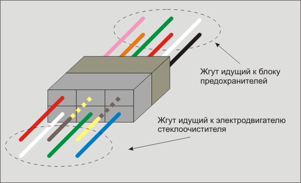 жгут.jpg