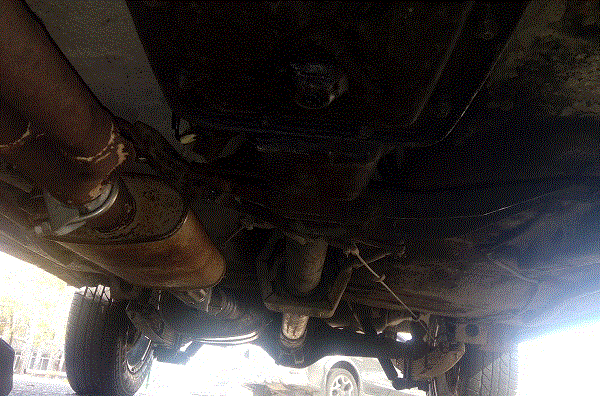 IMG_20191008_143703 — копия.gif